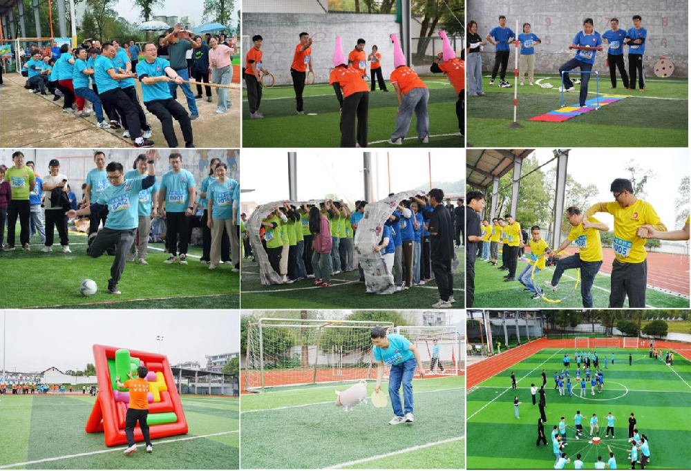 香港宝典免费资料网